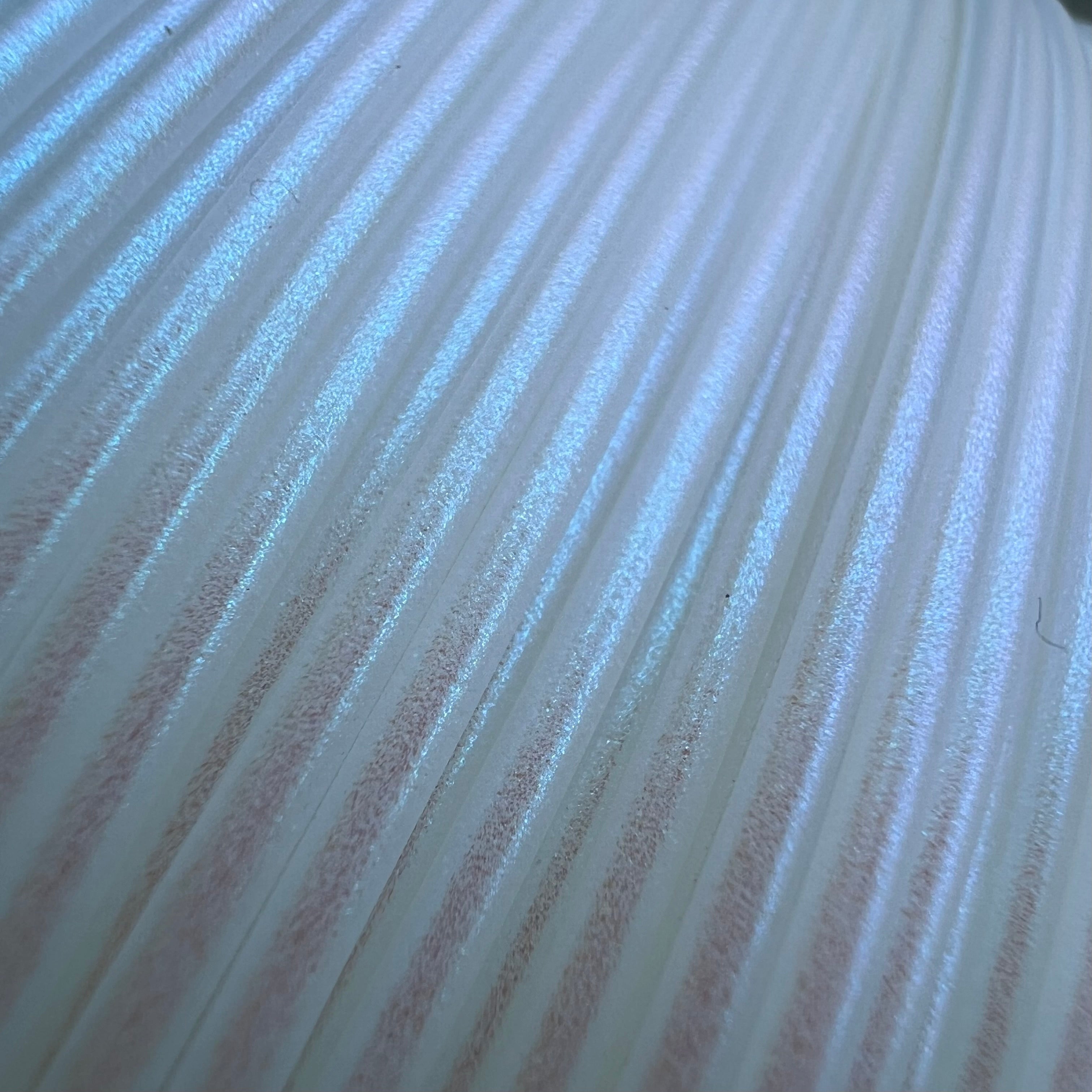 Cookiecad - Blue Pearl Elixir PLA Filament | UV-Glow White
